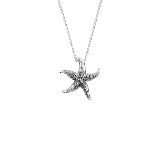 Sterling silver starfish design necklace, meaning love, from Evolve Inspired Jewellery