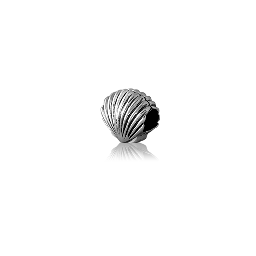 Scallop, silver bead charm from Evolve Inspired Jewellery