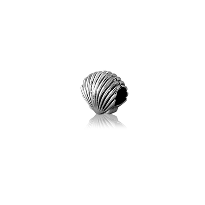 Scallop, silver bead charm from Evolve Inspired Jewellery