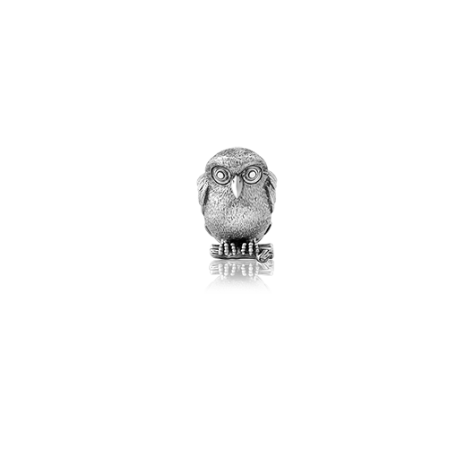 Ruru, silver owl bead charm meaning morepork from Evolve Inspired Jewellery