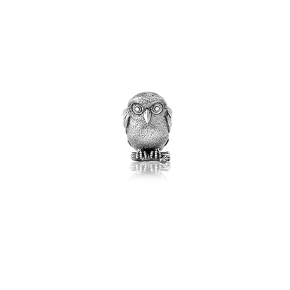 Ruru, silver owl bead charm meaning morepork from Evolve Inspired Jewellery