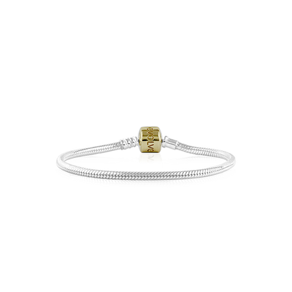 Evolve Signature Charm Bracelet with 9ct Gold Clasp, from Evolve Inspired Jewellery