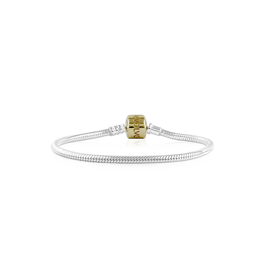 Evolve Signature Charm Bracelet with 9ct Gold Clasp, from Evolve Inspired Jewellery