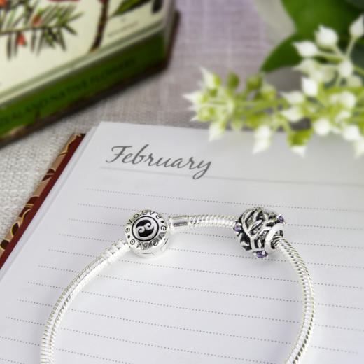 February Birthstone (Wisdom)