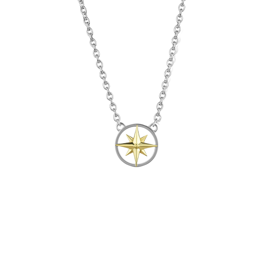 Inner Compass Necklace - Two-tone gold and silver finish - Shop Ringmasters
